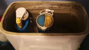 Vandens kokybė namuose – nuosėdos tualeto bakelyje